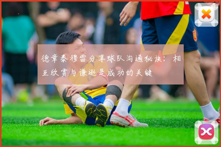 德章泰穆雷分享球队沟通秘诀：相互欣赏与谦逊是成功的关键