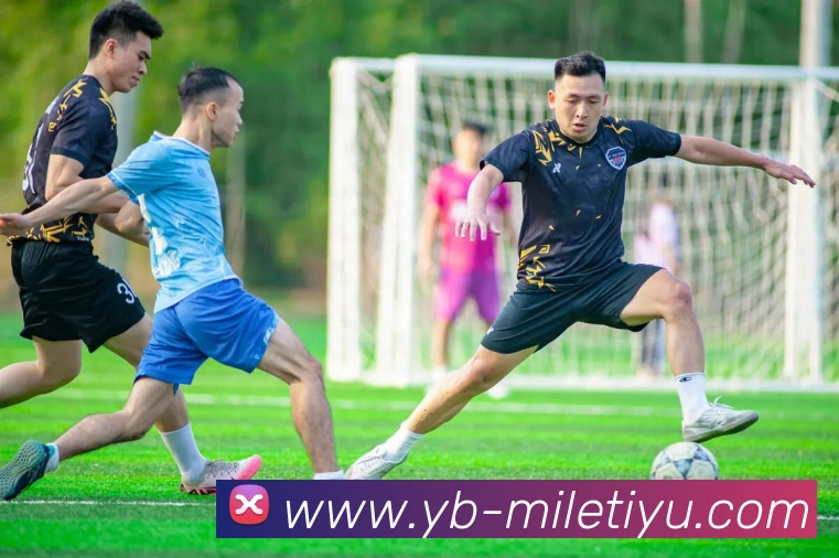 App Interface Preview